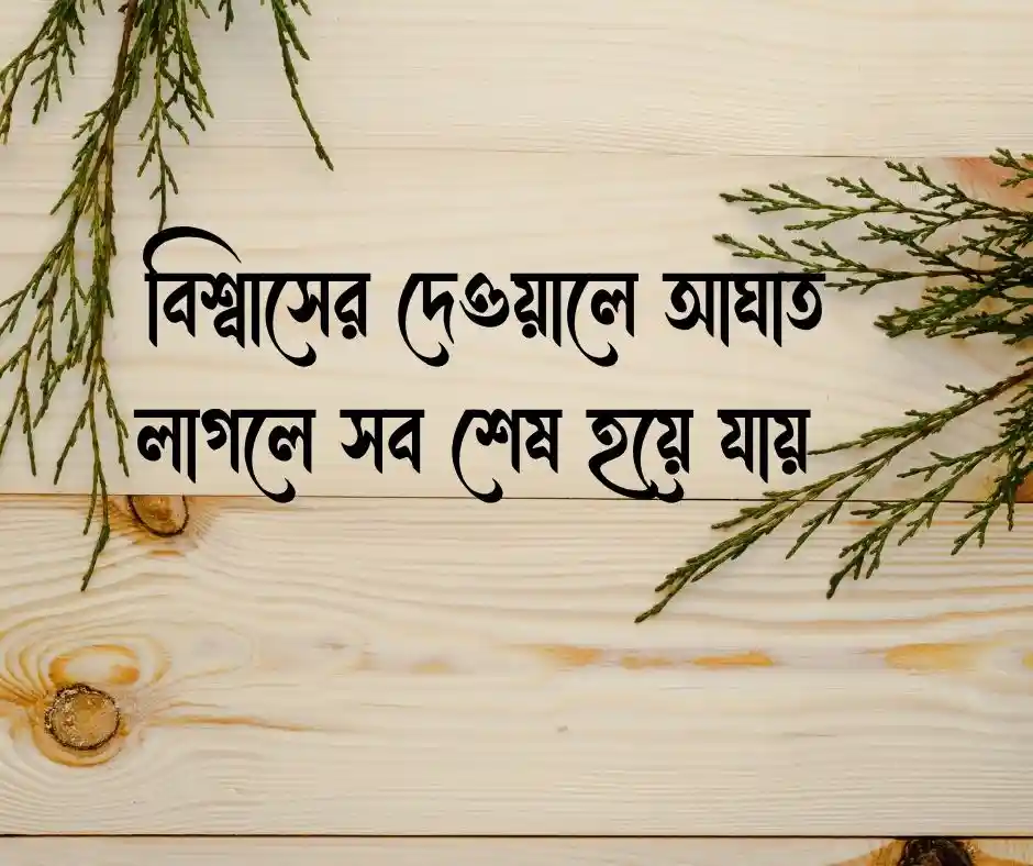 ইমোশনাল ক্যাপশন ইমোশনাল ফেসবুক ক্যাপশন ২০২৬