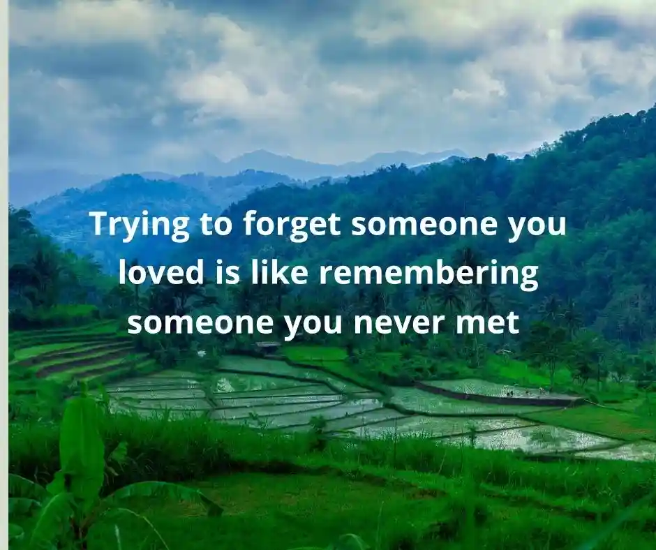 কষ্টের স্ট্যাটাস ইংরেজি Sad Caption English