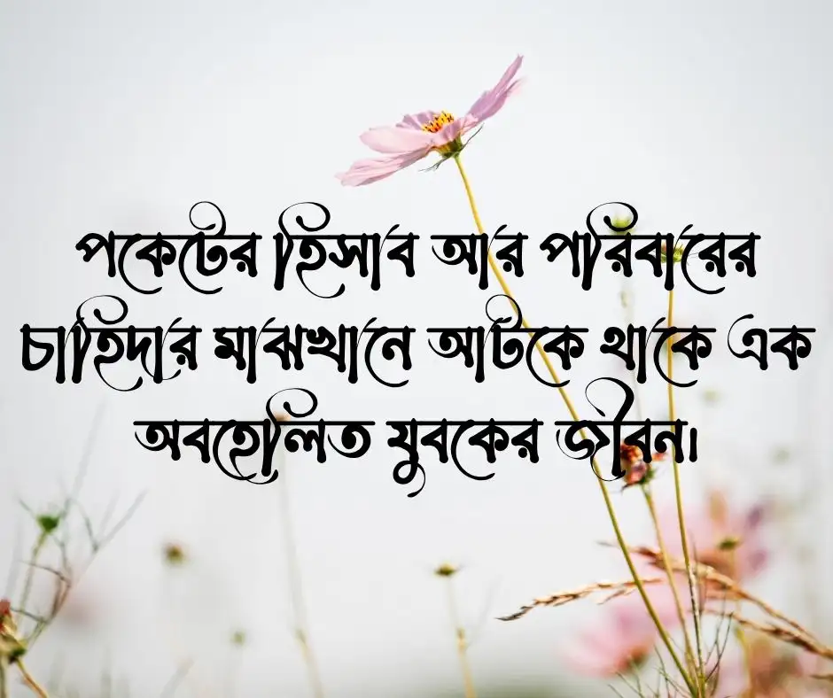 মধ্যবিত্ত ছেলেদের নিয়ে স্ট্যাটাস